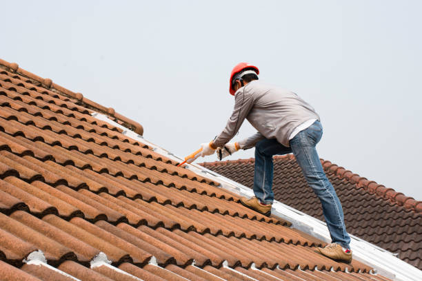 Roof Insulation in Cottondale, AL